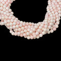Queen Conch Shell A Grade Round 8mm - VintageVp